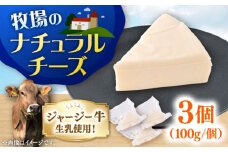 チーズ ナチュラルチーズ 3個セット【よこすか関口牧場】 [AKGN010]