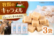 キャラメル 飴 お菓子 3袋セット【よこすか関口牧場】 [AKGN011]