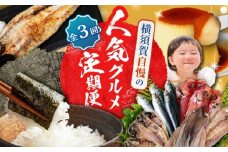 【全3回定期便】横須賀 人気 グルメ 定期便 [AKZZ016]