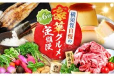 【全6回定期便】横須賀 豪華 ！グルメ 定期便 [AKZZ017]