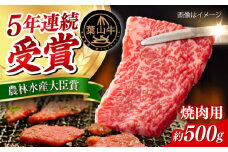 葉山牛 焼肉用切り落としセット 約500g　【JAよこすか葉山】 [AKFO011]