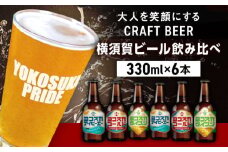 飲み比べ ビール 3種　6本セット （330ml瓶×6本）クラフトビール 【有限会社たのし屋本舗】 [AKAE047]