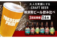 【全3回定期便】飲み比べ ビール 3種　6本セット （330ml瓶×計18本）クラフトビール 【有限会社たのし屋本舗】 [AKAE050]