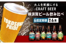 【全6回定期便】飲み比べ ビール 3種　6本セット （330ml瓶×計36本）クラフトビール 【有限会社たのし屋本舗】 [AKAE051]