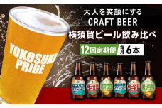 【全12回定期便】飲み比べ ビール 3種　6本セット （330ml瓶×計72本）クラフトビール 【有限会社たのし屋本舗】 [AKAE052]
