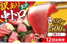 【全12回定期便】【訳あり】天然 まぐろ 中トロ メバチ （約450〜500g（2柵入り）） 鮪 マグロ まぐろ 魚 刺身 中とろ さしみ 横須賀【横須賀商工会議所 おもてなしギフト事務局（本まぐろ直売所 横須賀本店）】 [AKAK093]