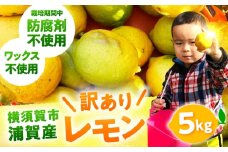 【先行予約】【数量限定】浦賀産 訳ありレモン 5kg【ファーマシーガーデン浦賀】 [AKBG007]