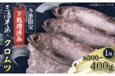 【先行予約】【冬季限定】下ごしらえ済 クロムツ 約300〜400g　1尾 鮮魚 処理済み 下処理済み【長井水産株式会社】 [AKAJ030]