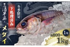 【先行予約】【冬季限定】下ごしらえ済 メダイ 約800g〜1kg 鮮魚 処理済み 下処理済み 【長井水産株式会社】 [AKAJ031]