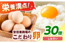 【数量限定】安田養鶏場の卵 しおさい 30個入り 横須賀市 産地直送 たまご 黄身 濃厚 卵 玉子 タマゴ 鶏卵  【安田養鶏場】 [AKHN001]