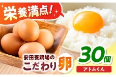安田養鶏場の卵 アトムくん 30個入り 横須賀市 産地直送 たまご 黄身 濃厚 卵 玉子 タマゴ 鶏卵  【安田養鶏場】 [AKHN002]