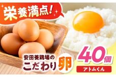 安田養鶏場の卵 アトムくん 40個入り 横須賀市 産地直送 たまご 黄身 濃厚 卵 玉子 タマゴ 鶏卵  【安田養鶏場】 [AKHN003]