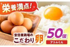 安田養鶏場の卵 アトムくん 50個入り 横須賀市 産地直送 たまご 黄身 濃厚 卵 玉子 タマゴ 鶏卵  【安田養鶏場】 [AKHN004]
