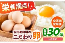 【全3回定期便】【数量限定】安田養鶏場の卵 しおさい 30個入り 横須賀市 産地直送 たまご 黄身 濃厚 卵 玉子 タマゴ 鶏卵  【安田養鶏場】 [AKHN008]