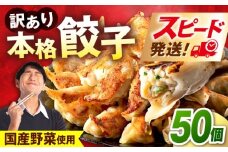 訳あり 本格餃子 50個セット 訳あり 本格 餃子  ぎょうざ 国産 ギョーザ 野菜 わけあり ワケアリ 冷凍餃子 ぎょうざ ジューシー 中華 セット 詰め合わせ 国産野菜 大容量 たっぷり 惣菜 横須賀【株式会社オウモリ食品】 [AKHQ001]