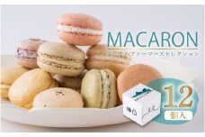 マカロン12個セット　よこすかfarmersSelection マカロン　お菓子　スイーツ 野菜　【マカルース】 [AKGS002]