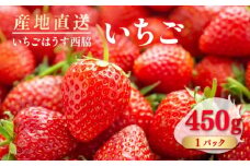 【先行予約】　【数量限定100セット】　いちご　1パック 約450g　【いちごはうす西脇】 [AKHO001]