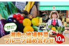 湘南産 地場野菜 フルーツ 詰合せ セット旬 新鮮 産地直送 温室みかん なす 玉ねぎ 小松菜 オクラ ゴーヤ 枝豆 生落花生 柿 きゅうりさつまいも さといも キャベツ お取り寄せグルメ 季節 家庭用 贈り物 冷蔵 八百屋コウタ 神奈川県 平塚市