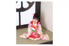 湘南の記念フォトプランF（フォトスタジオ　キッズドリーム）