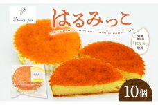 湘南育ち米 はるみ使用 はるみっこ 10個入り 米粉 コッコパラダイス 片倉牧場 ジャージー乳 蜂蜜使用 米粉使用 焼菓子 焼き菓子 お菓子 菓子 デザート スイーツ 個包装 小分け グルテンフリー お取り寄せスイーツ 送料無料 神奈川県 平塚市