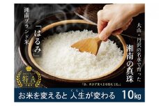 神奈川県産はるみ10kg（玄米時）