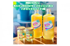 神奈川SDG's　青ミカンROCKビタースカッシュ3本＆ハチミツスクイーズ2個　【平塚市・逗子市　共通返礼品】