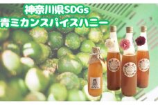 神奈川県SDGs 青ミカンスパイスハニー　ワインと割ってお手軽爽やかなサングリア【平塚市・逗子市　共通返礼品】