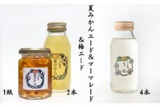 「平塚市」夏みかんエード＆マーマレード　「よすが物語」平塚の巻　第1章第2章