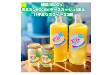 神奈川SDG's　青ミカンROCKビタースカッシュ6本＆ハチミツスクイーズ2個　【逗子市・平塚市　共通返礼品】