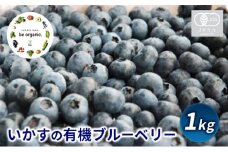 いかすの 有機 ブルーベリー 1キロ
