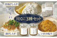川くに 3種セット 漬けしらす × 1個 いかの塩辛 × 1個 釜揚げしらす × 2個 生シラス しらす 取れたて 冷凍 特製たれ しょう油 いか 一夜干し 釜揚げ お酒 つまみ ご飯 株式会社 川国 神奈川県 平塚市