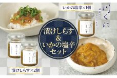 漬けしらす いかの塩辛 3本セット 漬けしらす ×2個 いかの塩辛 ×1個 生シラス 取れたて 冷凍 特製たれ しょう油 いか 烏賊 一夜干し 釜揚げ お酒 つまみ ご飯 株式会社 川国 神奈川県 平塚市