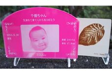 鎌倉市公園協会「プレミアム誕生花プレートと木製コースター（５枚）」