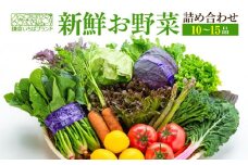 「鎌倉いちばブランド」新鮮お野菜詰め合わせセット 10～15品 | 人気 野菜 詰合せ 詰め合わせ セット 新鮮野菜 詰め合わせセット 野菜セット 季節の野菜 鎌倉野菜 地元産 お取り寄せ おすすめ 送料無料 神奈川 鎌倉