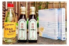 【鎌倉三留商店】ピクルスビネガー、薬膳ソース２本 、鎌倉薬膳カレー２食 | ピクルス ビネガー 薬膳 ソース 薬膳カレー 人気 おすすめ 健康 調味料 カレー ギフト プレゼント 送料無料 神奈川 鎌倉