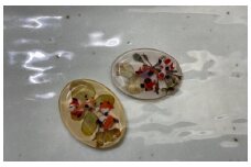 紫陽花のブローチ(ラウンド金魚入り)