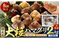 鎌倉大粒ハマグリ　生冷凍 2kg |魚介類 鎌倉産 大粒 ハマグリ 個包装 生冷凍 鮮度抜群 砂抜き済み 貝料理用 食べ応え満点 人気 おすすめ ハマグリ 貝 魚介 海鮮 鍋 食材  送料無料 神奈川 鎌倉