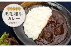 プレミアム黒毛和牛　カレー（３箱セット）鎌倉　河野牛豚肉店 | 肉 精肉店 黒毛和牛 カレー セット 人気 おすすめ レトルト 高級 牛肉 ごちそう ギフト プレゼント 送料無料 神奈川 鎌倉