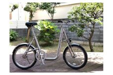 ポプロワン（フェンダー付）【自転車】