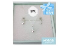 シルバーティアドロップノンホールピアス(イヤリング）＆ネックレス