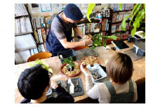 360度楽しめる！吊るせる観葉植物「ハングボール」作りワークショップ