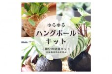 360度楽しめる！吊るせる観葉植物「ゆらゆらハングボールキット」