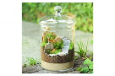 《苔テラリウム・コケリウム》牡鹿_苔の箱庭 キャニスターL