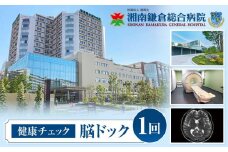 【湘南鎌倉総合病院】健康チェック：脳ドック