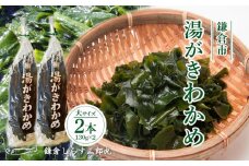 湯がきわかめ 大2本セット