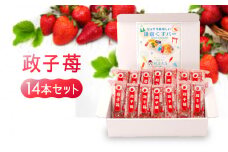 鎌倉くずバー　政子苺14本セット！