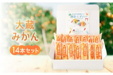 鎌倉くずバー　大蔵みかん14本セット！