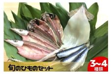 国産 干物 3～4種 セット 旬 ひもの セット 旬の魚 魚 魚介 海の幸 酒 ビール himono イカ あじ かます 日本酒 おつまみ 弁当 惣菜 おかず 米 ご飯 ご飯のお供 冷蔵 母の日 父の日 プレゼント ギフト 贈り物 贈答 伝統200年の味 鈴伝商店 神奈川 湘南 藤沢