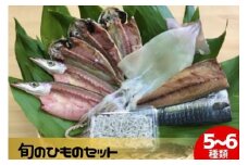 旬の干物セット 詰め合わせ 5～6種類 国産 ( あじ かます 鯖 イカ しらす ) 自家製造 ひもの ヒモノ 干物 himono 鯖 さば サバ 魚 海産物 いか イカ ika しらす シラス 江ノ島 冷蔵 鈴伝商店 神奈川 湘南 藤沢