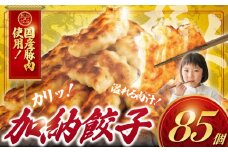 ぎょうざ 餃子 85個 肉汁 旨い パック 豚肉 ぶた 野菜 焼き餃子 水餃子  国産豚  豚肉 野菜 ギョーザ gyouza 冷凍餃子 冷凍ぎょうざ ぶたにく 生餃子 冷凍 ご飯 おかず 夕食 おつまみ 晩酌 簡単調理 時短 簡易包装 手作り餃子 冷凍 冷凍食品 中華 加納食堂 神奈川 湘南 藤沢